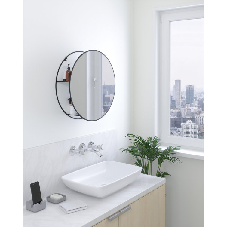 Bathroom Mirror Storage Unit – Everything Bathroom